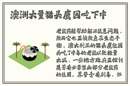 女性爽爽影院免费观看